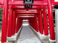 赤い鳥居が連なる「吹上神社」

今治市内の各地にあった神社を、明治５年に合祀鎮座されたものです。
なので、天照大神を始めとした大神様、更には「藤堂高虎公」が祀られた神社があります。

グーグルアースで見ていると気になる場所だったんです。

