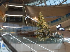羽田空港は、早くもクリスマスバージョン
でも今年は、11月に入っても夏日記録です