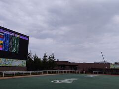 札幌競馬場