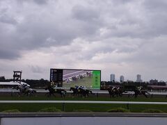 JRA札幌競馬場売店