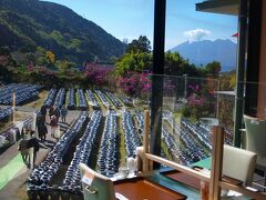 黒酢の郷 桷志田

壺畑と桜島
二階レストランからの眺めがすばらしい
