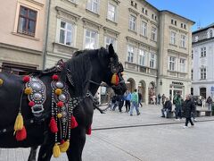 14:00
お客さん待ちのお馬さん
着飾っててカッコいい