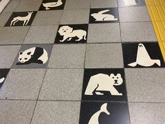 札幌から地下道を通って大通まで歩いた。地下鉄東西線で円山公園駅に到着。動物たちの床が楽しみにさせるよね～(o^^o)