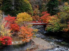 降機のおりキャビンアテンダントのお姉さまが「中野もみじ山の紅葉が見ごろを迎えているそうです」とアナウンスされていたので、ならばと真っ先にやって来た。