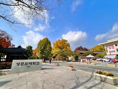 成均館 明倫堂

創立600数十年の成均館大学。朝鮮時代最高の学部だった成均館の主教育空間です。