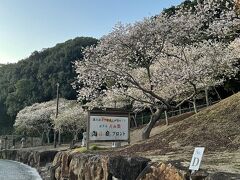 お宿へゴー！

今回のお宿。

伊勢海老が食べたいとのことで、ここに。