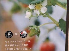 ●Camp Strawberry＠駒ヶ根バスターミナル

ロープウェイに向かう路線バスまで、少し時間があったので、バスターミナルにあったカフェに行ってみました。
イチゴ農園さんが運営するカフェです。