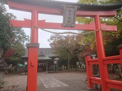 太鼓谷稲成神社からの帰りの途中に立ち寄った弥栄神社です。津和野の町は鷺舞で有名ですが、こちらの弥栄神社に奉納される舞です。