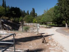 住宅街の裏山に国立公園がありました。一方通行がいろいろあるので、アクセスには少し注意が必要です。
ここは「ベート・シェアリムのネクロポリス - ユダヤ人再興の中心地」として世界遺産に登録された遺跡です。