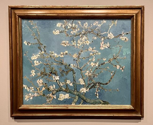 レビュー高評価の商品!の商品をすべて アムステルダム 花咲アーモンドの枝 ゴッホ ゴッホ美術館購入 ヨガ・ピラティス