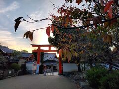 鳥居に到着