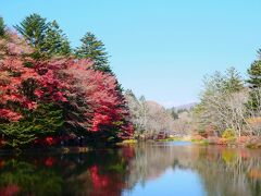 雲場池に到着。もう終わりかと思いましたが、まだ紅葉楽しめるー(^^♪
海外の方もたくさん来ていて、池の入口は自転車と車の渋滞があったり、
池の周りの遊歩道もかなりの人で渋滞もありますが(;^_^A　
様子を見つつ、ぐるりとお散歩します。