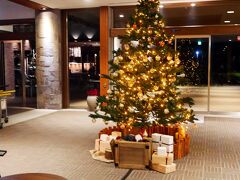 ホテル到着。
夜のクリスマスツリーが迎えてくれます(*^-^*)