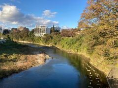 【11日の午後】
松島、塩釜から仙台に戻って、駅から歩きます。広瀬川を渡って