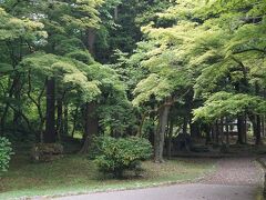 ●弥彦公園＠JR/弥彦駅界隈

空気はもう梅雨を感じますが、まだまだ緑を気持ちよく感じる季節。
駅と自宅の間の緑が心地よくて、少しだけ遠回りして帰っていますが、ここまで緑が多いとものすごく癒されます。