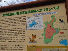 少し上がって来ただけで紅葉は終わりかけていました。
　