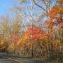 どこかにマイルで紅葉を見に1ヶ月ぶりの北海道　１日目はレンタカーで巡る