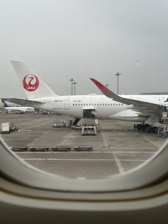 2023年サヨナラ777。からの根室中標津空港御翔印GET⭐︎ぽぽさん 2023年サヨナラ777。からの根室中標津空港御翔印GET⭐︎ぽぽさん