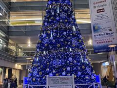 相模大野駅ステーション・スクエア名物のクリスマスツリー
毎年趣向を変えて楽しませてもらっています