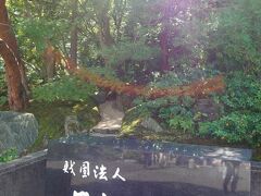 足立美術館
https://www.adachi-museum.or.jp/
美術館ですが館内(カフェを除いて)撮影禁止なので、以降は庭の写真のみとなります