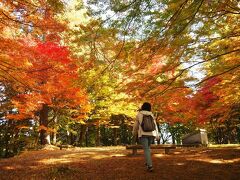 【城山公園 本丸跡】紅葉が素晴らしいです。