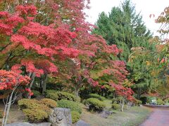 神社を出て、橋から見た紅葉の中を歩きます。

多分、こちらは猿賀神社では無くて隣接する猿賀公園だと思いますが、どうなんだろう？