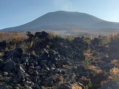 浅間山です。

山頂から噴煙を上げているのは分かりますが、静かなたたずまい。

なおこの方、忘れた頃に軽井沢一体を真っ白にするんで要注意です。