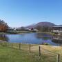 秋の鬼押し出し・碓氷峠・磯部温泉