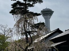 遠くに五稜郭タワーが見える。