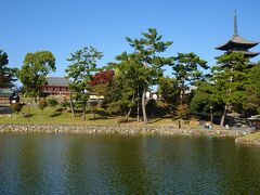 猿沢池の後ろに興福寺の中金堂と五重塔が見えます。