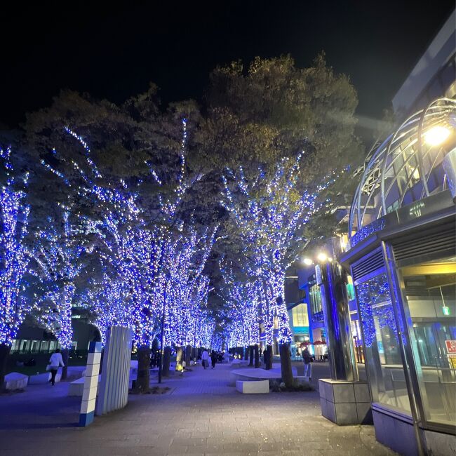 1)　夜のイルミネーション 東京のX'masイルミネーション_国立昭和記念公園（その1／2_