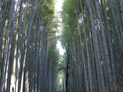 嵐山 竹林の小径