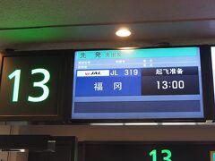 11月1日12時半頃。
羽田空港。
これからＪＡＬで福岡へ旅立ちます。