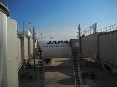 機体の写真撮ろうと思ったけどこんなんしか撮れなかった。
JAL地上係員さんがお写真撮りましょうかと言ってくれたけど、醜い自分の写真はやめときます。