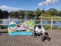 犬たちも大沼公園でリフレッシュ。
奥に見える山は駒ケ岳です。