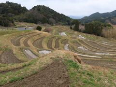 小湊へ向かう途中、以前より行ってみたかった大山千枚田へ。都心から近いこんな場所にこんな棚田があるとは