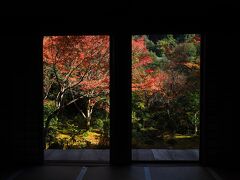 西明寺
部屋から見るお庭の紅葉。静寂を感じます。