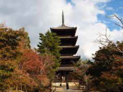 毎月京都に来ていても、やっぱり五重塔は格別ですね。これを見ると京都だなと思います。普段の行動圏には五重塔はないし。

ここは秋らしい景色