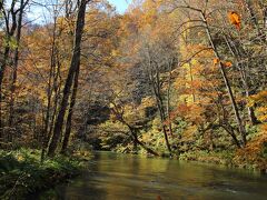 奥入瀬の紅葉です。
特に有名な場所では無いですが、紅葉が綺麗でしたね。
こういう、有名な場所ではないが紅葉が綺麗、という場所は結構ありました。