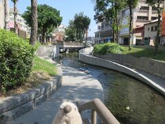 台中公園から台中駅の方に歩いていくと、新盛緑川水岸廊道という小川をきれいに再生したという川沿いの散歩道に出ました。

ゴエモン「韓国ソウルの清渓川みたいなもんかな。」