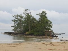 恋路海岸・・・700年前の悲恋伝説の舞台となった海岸

海岸線上に見渡す島の前には鳥居

恋愛成就を願う　「幸せの鐘」もあります

今では見附島までの海岸線が　「えんむすビーチ」と呼ばれる遊歩道

歩くだけでも気持ち良く　海岸上に浮かぶ美しい景色は格別

その日は　カモメがいっぱい海岸に飛んできて　にぎやか

さざ波と雨音とカモメに癒された　そんな時間過ごせました

近くのトロッコの恋路駅も　見に行きましたが

肝心のトロッコもなく　廃線の景色眺めるのみ

それでも駅から眺める景色は　見事な海岸線　

爽快で清々しい　ちょっとした清涼感に　癒されました



