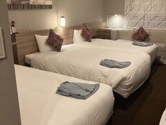 ホテルは三井ガーデンホテル札幌
素泊まり２泊で35000円(大人2人子供1人)
土日にしては安いかなと思った
部屋は狭めだったけれど機能性でカバーしている感じ
清潔感はすごくあった

大浴場があったので部屋のお風呂は使わず
大浴場は広くはないけれど混雑はせずのんびり浸かれた

