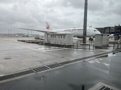 飛行機はバスでタラップから乗りました。