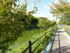 奈良市内で電動アシスト付き自転車をレンタルし、薬師寺に向かう際、秋篠川サイクリングロードを通りました。人も少なく、道も整備されており、走りやすいサイクリングロードでした。訪れたのが10月初旬で、秋篠川を取り囲む鮮やかな緑も印象的でした。