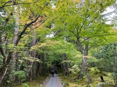 瑞巌寺の後は円通院へ
紅葉はまだでした