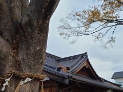 松本城の北側にあります
1636年創建の歴史ある神社です