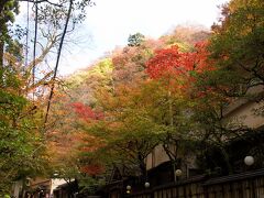 貴船神社
　神社付近の風景。
　下に川が流れているのでその影響で紅葉がきれいでした。