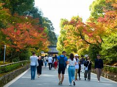 金閣寺参道
　出町柳から金閣寺行のバスで約30分位乗車、バス停金閣寺前にて下車。
　京都の北東部周辺では紅葉し始め。