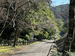 神川大滝公園に車で移動後、滝に向かって歩きます。
神川大滝はQ＆Aでお勧めがあったので。