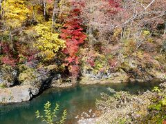 こちらに龍神様が住んでいたのかな？紅葉きれいだな。